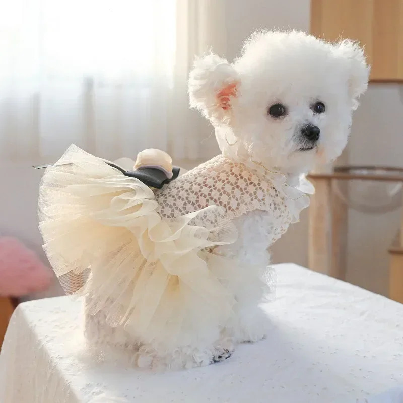 Pet Clothing Cat Wedding Dress Cat Dress Bow Thin Gauze Dress Cat Clothing Dog Lolita Dress Pomeranian Teddy Dress Cat Clothing 250409