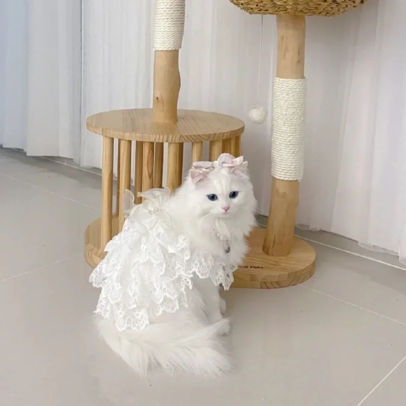 Cat clothing lace wedding dress dog clothing white hollow outer princess cat clothing fashionable and elegant dog clothing 250409