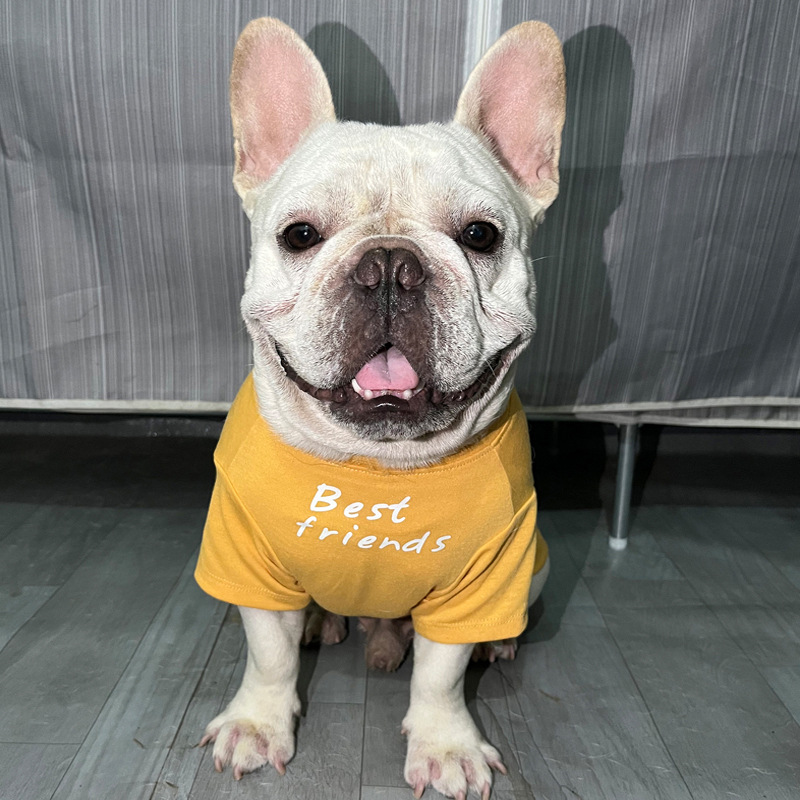 free shipping designer bags sand bulldog round neck t-shirt dog pet clothing supplies new