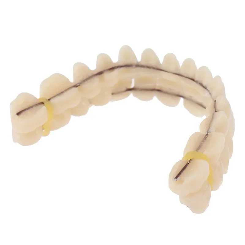 Denture support simulation denture teaching implant analysis cosmetic denture upper and lower teaching model denture material M250410