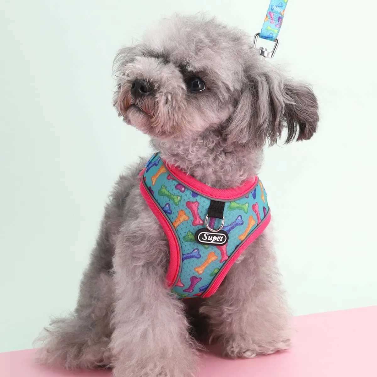 One Dog Harness and Leash Set - Comfort Adjustable - Escape Prevention Pet Leash Vest - For Small to Medium Dogs J251110