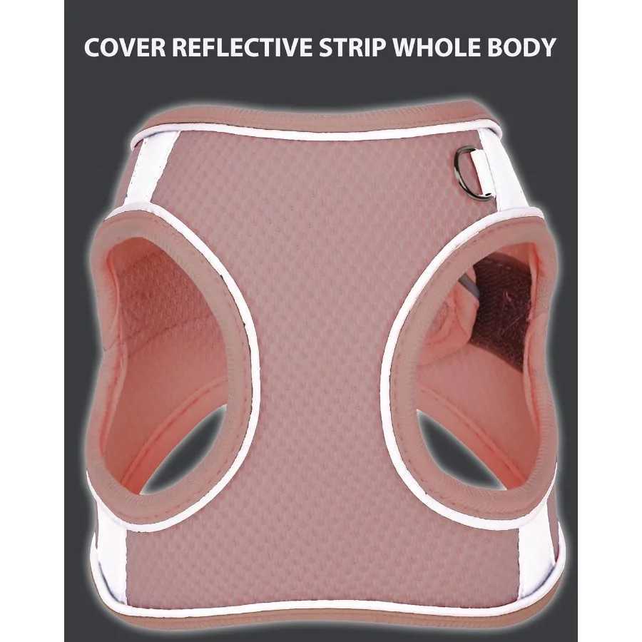 Dog Harness for Small Medium Sized Dog Step in Puppy Harness and Leash Set Training Walking Blue XXS J251110