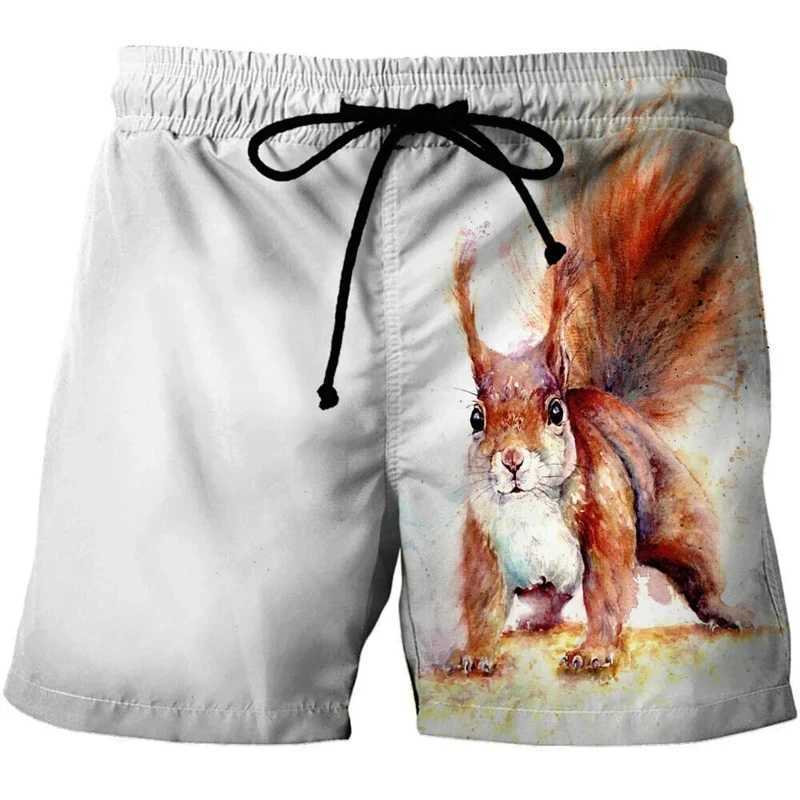 Cute animals 3D printed surfboard shorts for men simple breathable squirrel graphic shorts for children fun oversized Hawaiian party swimsuits X250410