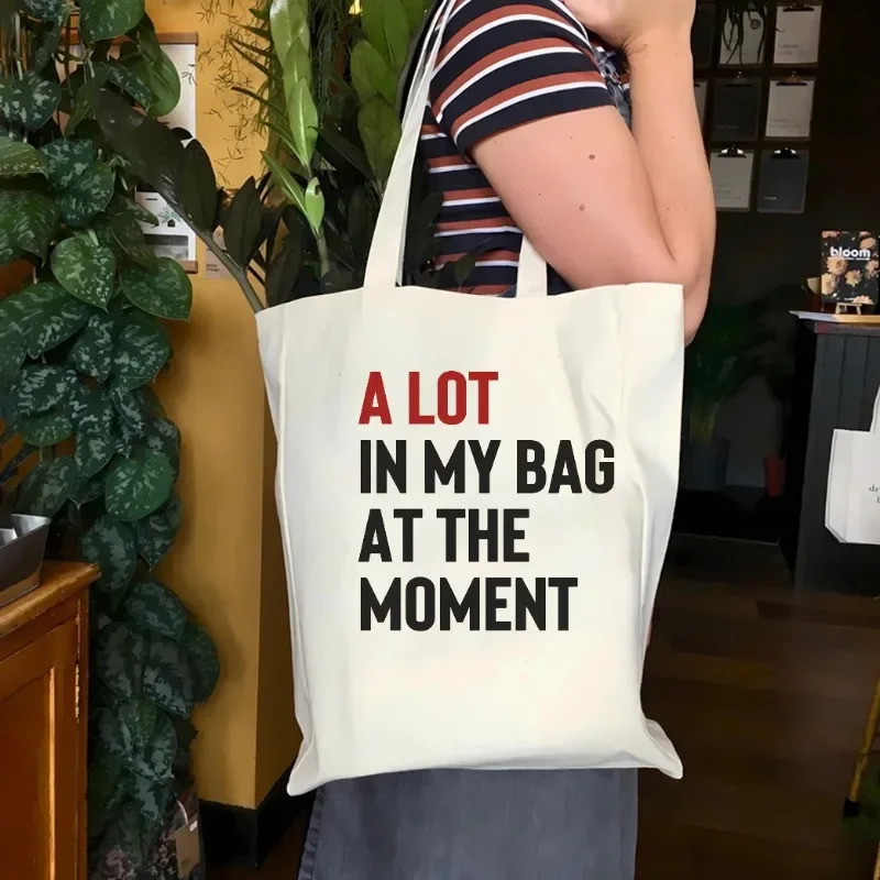 A Lot in My Bag At The Moment Taylor Tote Bag Portable WomensTote Bag Eras Tour Inspired Tote Bag Red Album Canvas Tote Bag 251110