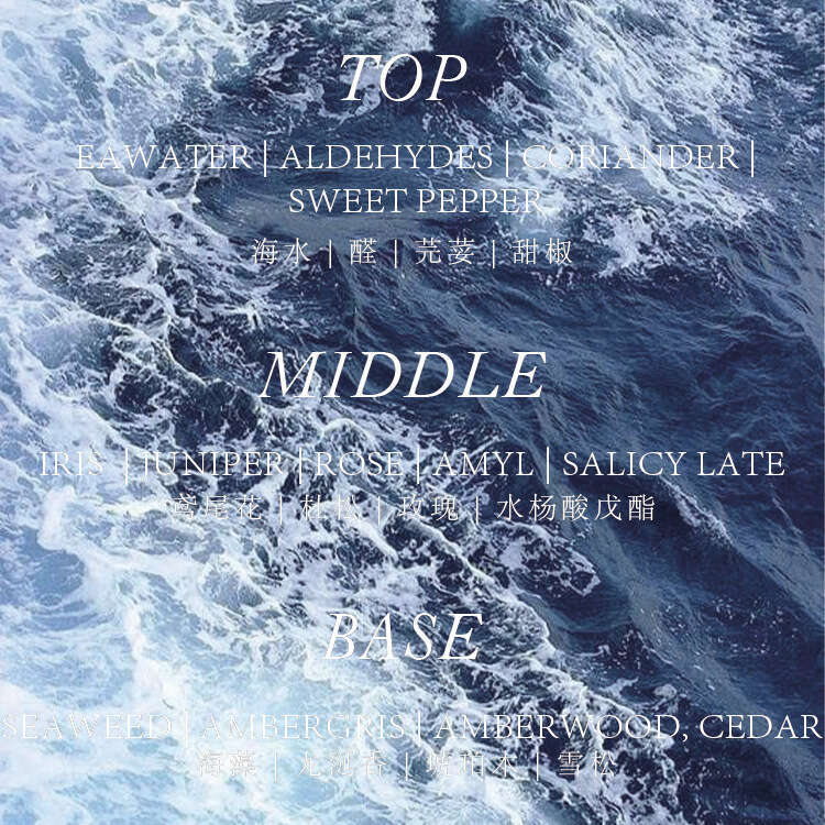 Designer Perfume Amazon Hot Selling Foreign Trade Big Brand Same Style Level Replacement Woody Notes Men S Perfume Customizable