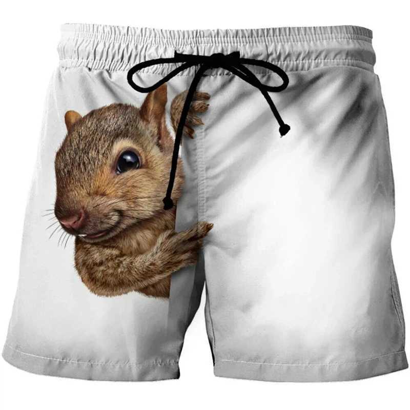 Cute animals 3D printed surfboard shorts for men simple breathable squirrel graphic shorts for children fun oversized Hawaiian party swimsuits X250410