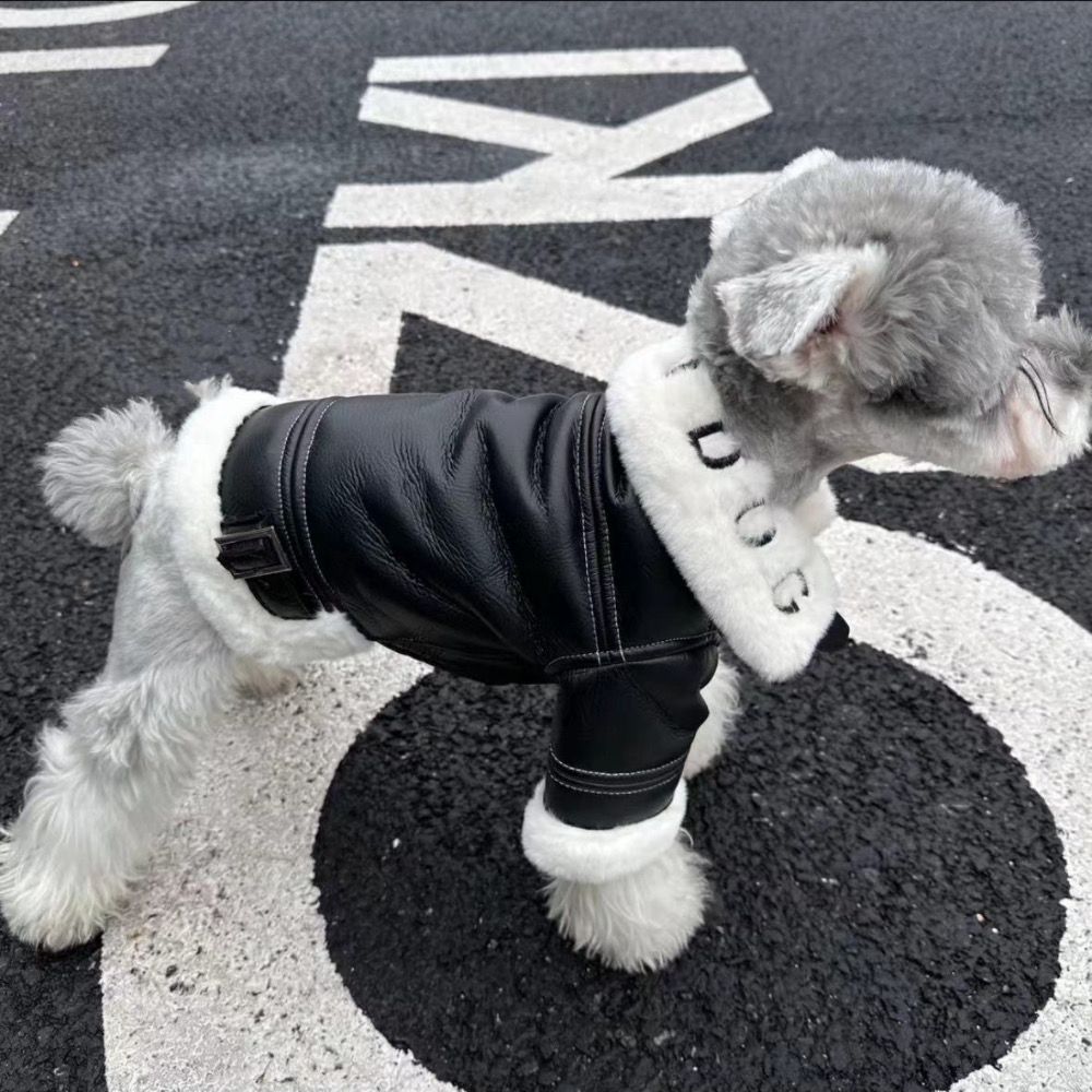 Warm Fleece Lined Dog Leather Jacket, Stylish Motorcycle Style Pet Coat, Windproof & Waterproof Dog Apparel, for Small Medium Dogs, Trendy Puppy Jacke