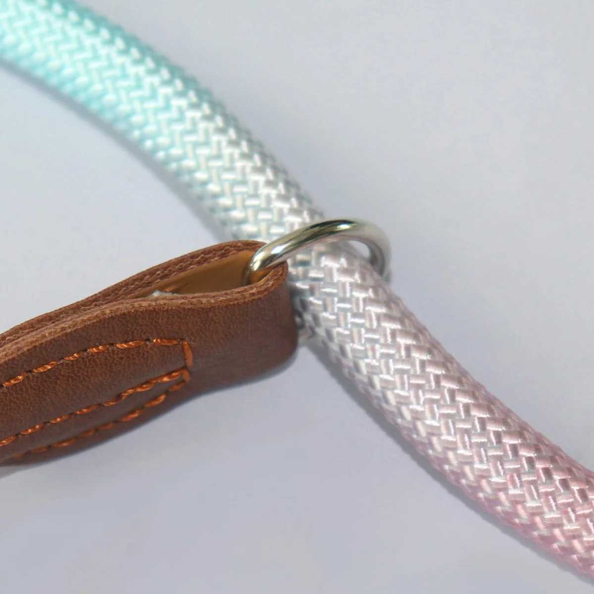 A colorful pet dog leash for indoor and outdoor use J251110