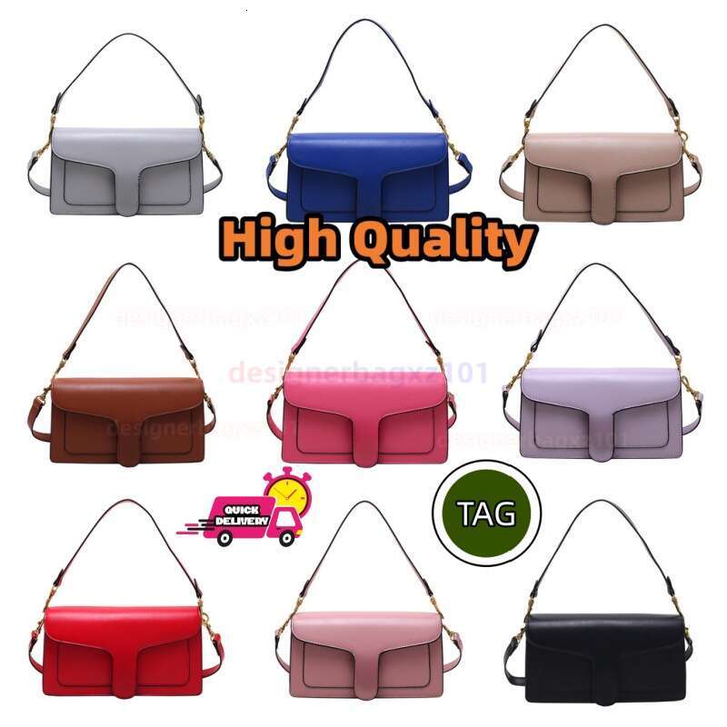 Pink Designer Bag Coucher Bag Couchbag Tabby Bag Teri Bag Designer Bag Sac De Luxe Bolso De Lujo Shoulder Luxury Women Handbag Crossbody Leather Black White Bags