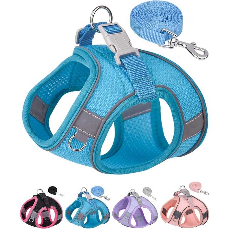 Dog Harness for Small Medium Sized Dog Step in Puppy Harness and Leash Set Training Walking Blue XXS J251110
