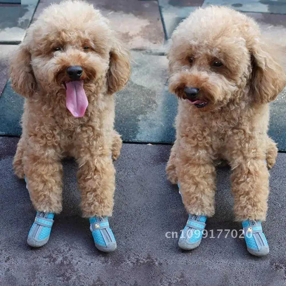 Dog shoes fashionable dog net sports shoes and medium-sized pet small beautiful sports shoes T2504010