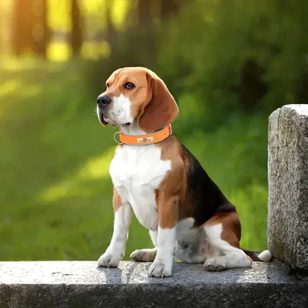 Personalized Dog Collar PU Leather Dogs Collars Free Engraving Pet ID Necklace Soft Padded for Small Medium Large Dogs Pug XS-XL J251110