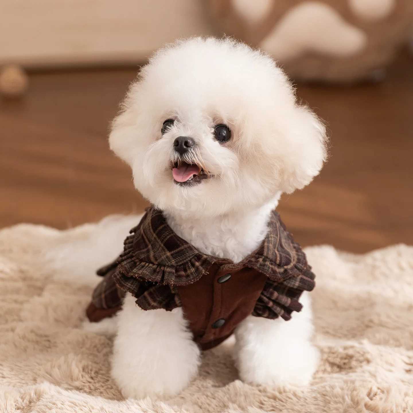 Autumn and Winter Pet Plaid Couple Outfit Thin Dress Hoodie Cat Teddy Jacket Dog Dresses for Small Dogs Puppy Clothes J251110