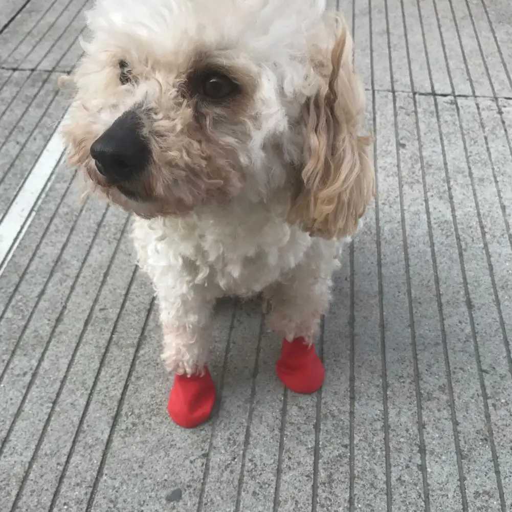 4 anti slip pet boots anti slip pet supplies waterproof dog anti slip rain shoes outdoor rubber rain shoes candy colored cat shoes T2504010
