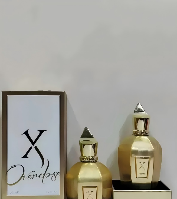 Xerjoff Perfume 100ml Perfume Fragrance for Women Men ERBA GOLD Muse More than Words Groove Xcape Long lasting Fragrance Colgone