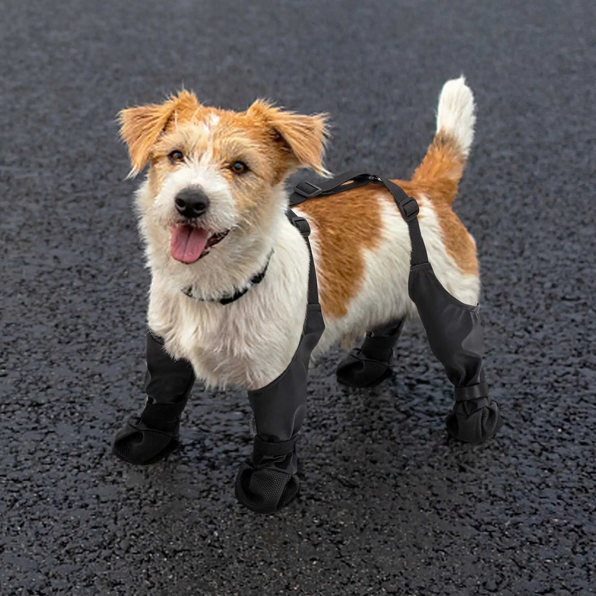 Waterproof and breathable pet dog shoes for dogs used outdoors in rainy weather anti slip for bulldogs and Chihuahua paw protectors T2504010