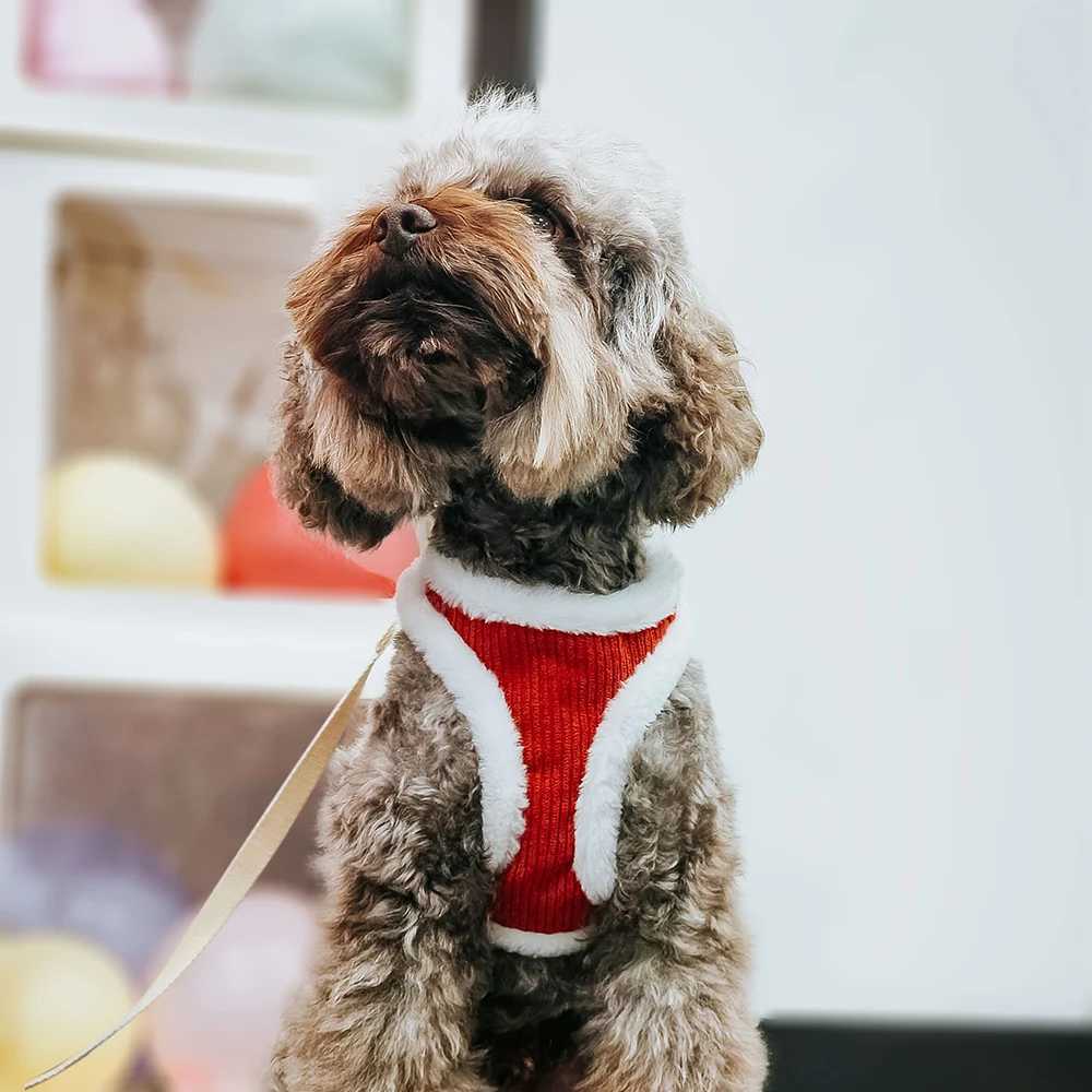 Warm Winter Dog Harness and Leash Set Soft Fur Cat Dog Vest Harness For Small Medium Dogs Cats Chihuahua French Bulldog J251110