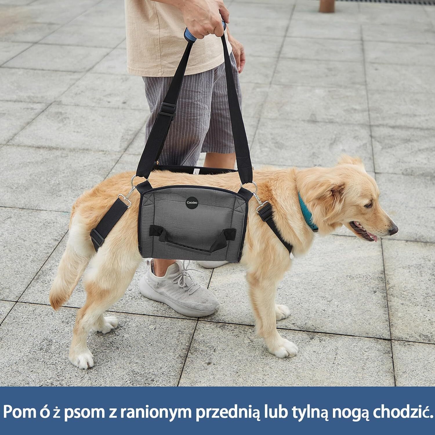COODEO dog carrying sling, emergency backpack pet leg support and rehabilitation dog lifting sling for nail trimming, dog sling for elderly dogs with 