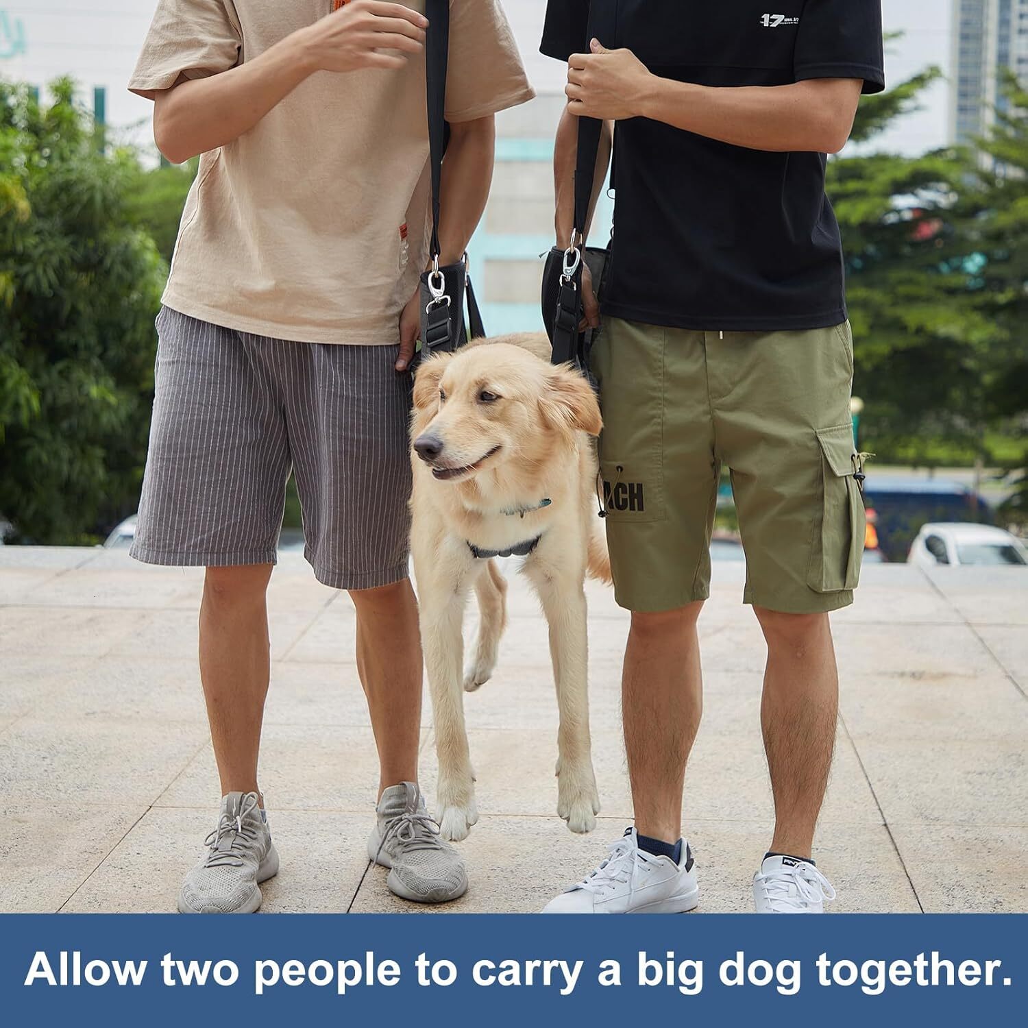 COODEO dog carrying sling, emergency backpack pet leg support and rehabilitation dog lifting sling for nail trimming, dog sling for elderly dogs with 