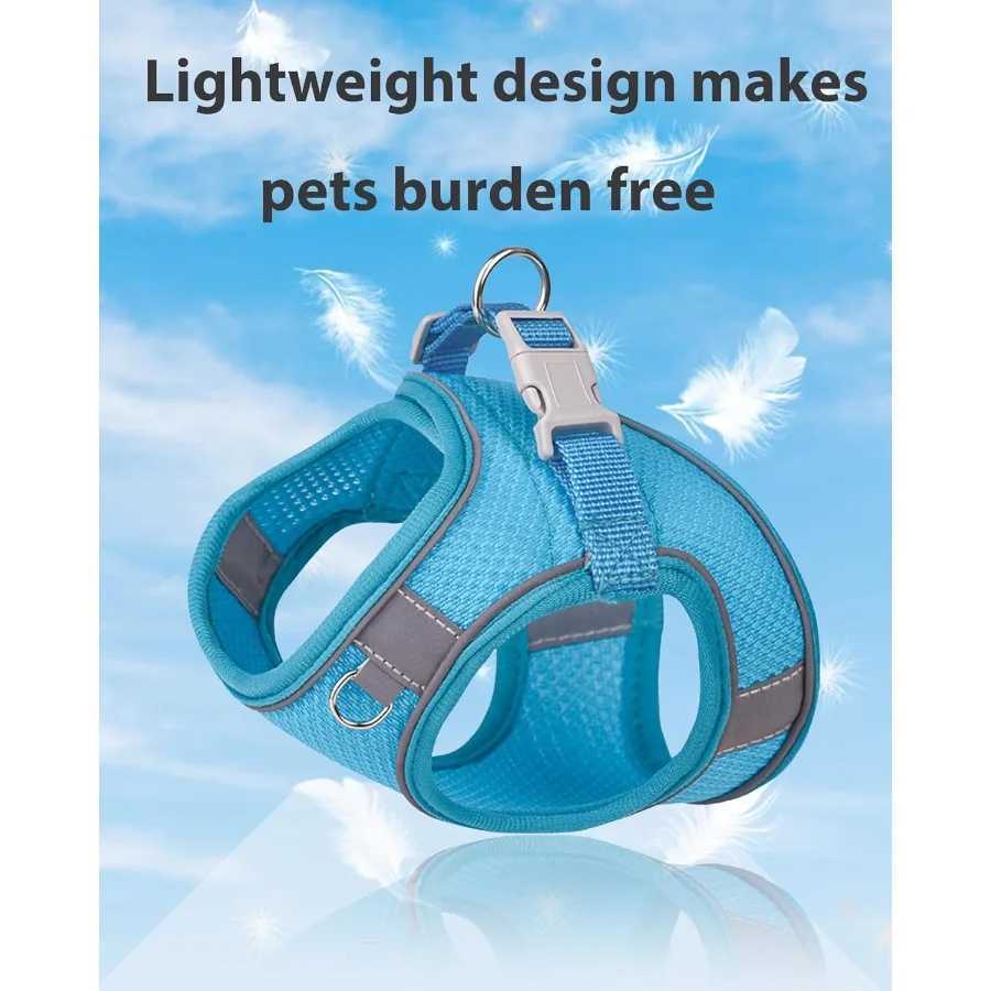 Dog Harness for Small Medium Sized Dog Step in Puppy Harness and Leash Set Training Walking Blue XXS J251110