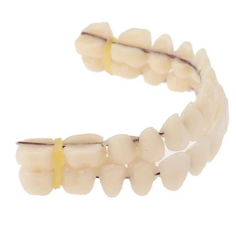 Denture support simulation denture teaching implant analysis cosmetic denture upper and lower teaching model denture material M250410