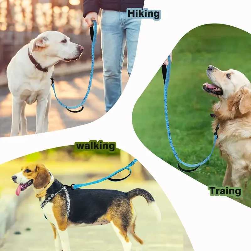 Heavy Duty Bungee Dog Leash 5-Foot Shock Absorbing Polyester Lead with Dual Padded Handles Adjustable Waist and Secure Buckle J251110