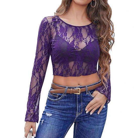 Cross-Border Amazon New Lace Top See-Through Hollow Long Sleeve Round Neck Thin Shirt Mesh Short Style