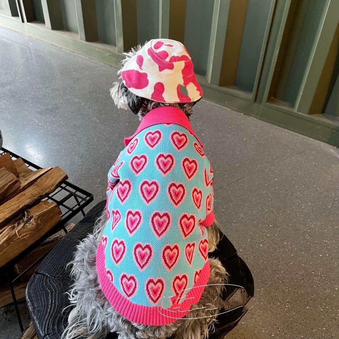 Cute Heart Pattern Dog Sweater, Knitted Pet Cardigan with Pearl Buttons & Lapel Collar, Warm Fashion Apparel for Small Medium Dogs, Soft Comfortable P