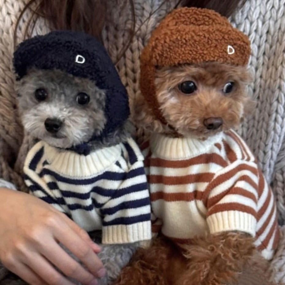Cute Bear Embroidery Pet Sweater, Striped Knitted Dog Pullover, Warm Soft Pet Apparel, Fashionable Dog Sweater for Small Dogs, Comfortable Breathable 