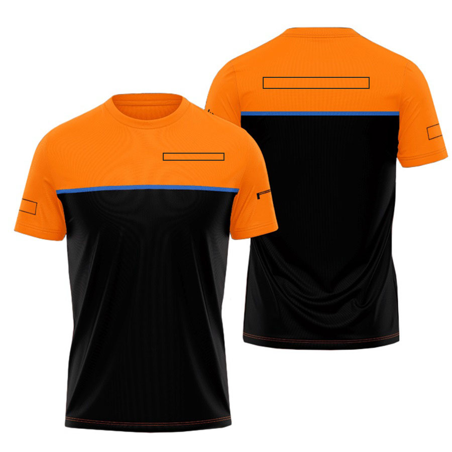 2024 New F1 T-Shirt Formula 1 T-Shirts Racing Team T Shirts Fans Summer Men's Sports Breathable Short Sleeves Quick Dry Tops free shipping