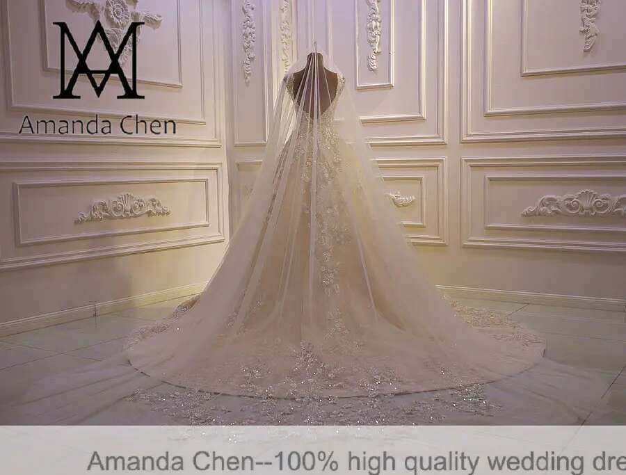 Customized AM768 Cap Sleeve Lace Applique Low Back Champagne Simple Wedding Dress