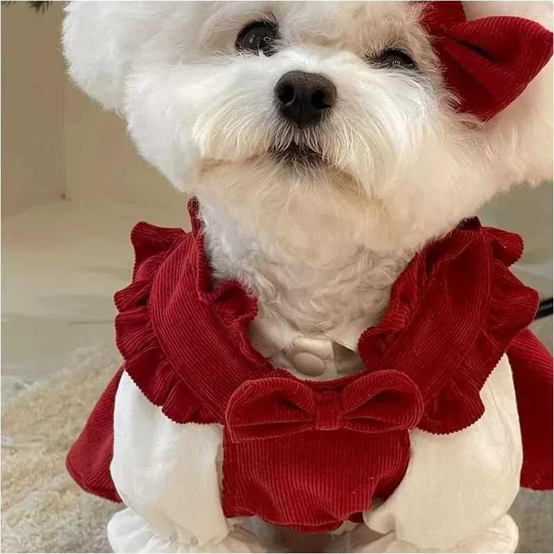 Puppy Bow Knot Dress Set Winter Warm Dog Clothes Pet Christmas Princess Dress Teddy Solid Color Skirt Send Clip J2511101