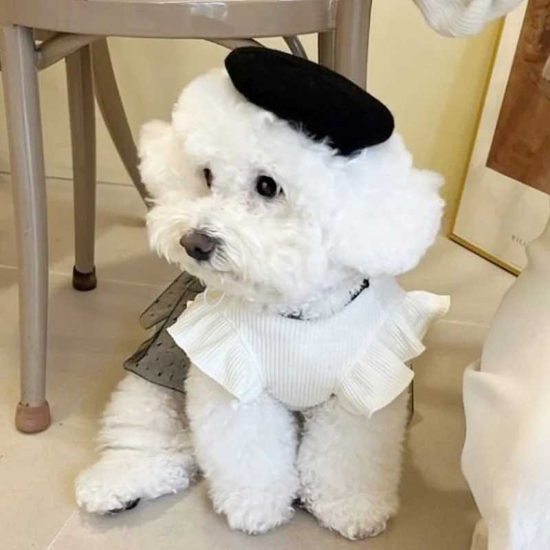 Princess Style Dog Dresses Summer Pet Clothes Sweet Puppy Wedding Skirt Fashion Cat Vest Soft Pet Costumes Chihuahua Dog Vest J251110