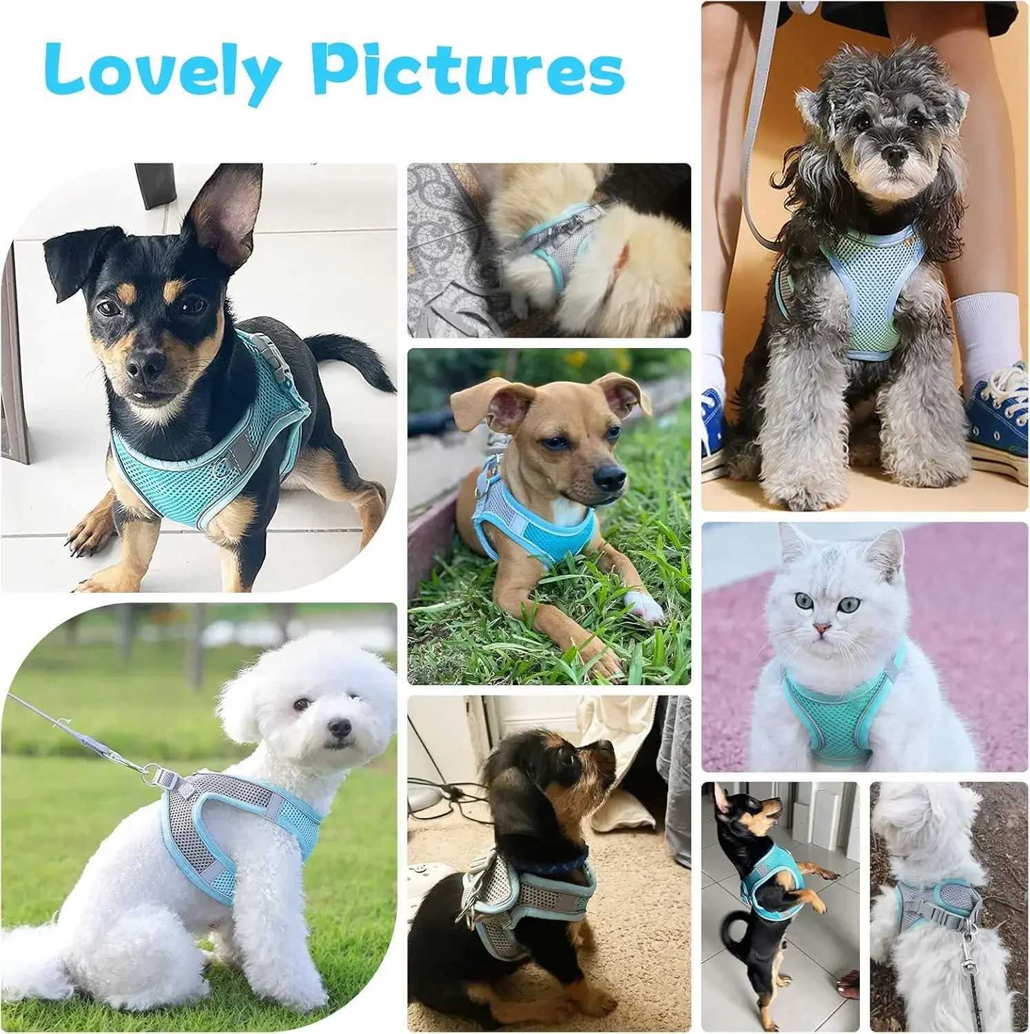 Breathable Pet Harness Escape-Proof Reflective Dog Harness for French Bulldog Harness Vest Puppy Pet Outdoor Walking Lead Leash J251110