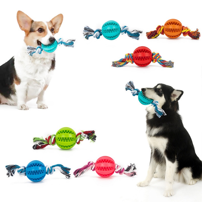 Pet dog food leakage TPR toy ball grinding teeth puzzle bite resistant training toy watermelon ball pet chewing toy