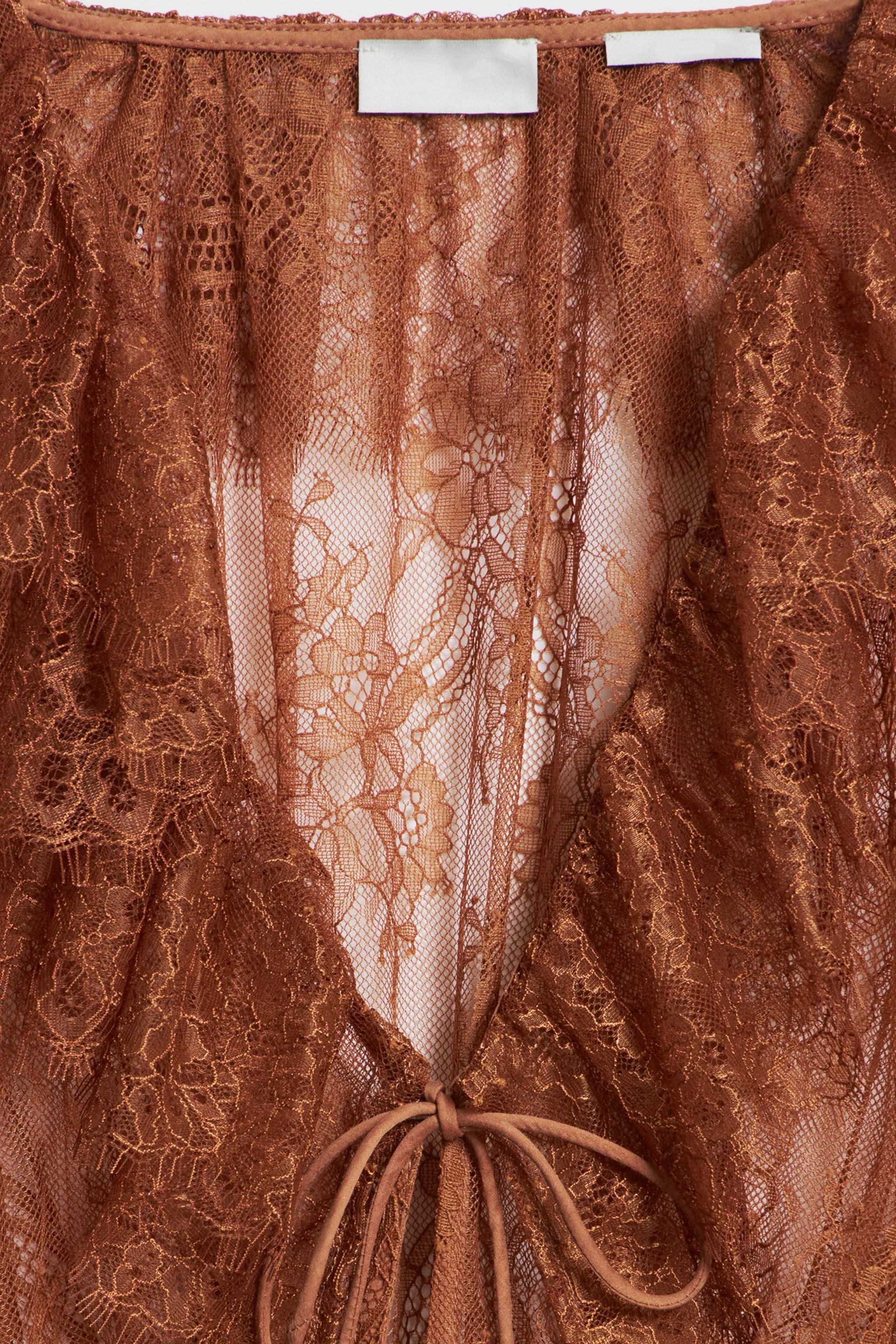 Women's Brown Sheer Lace Floral Blouse, V-Neck Tie Detail Ruffled Sleeve Top