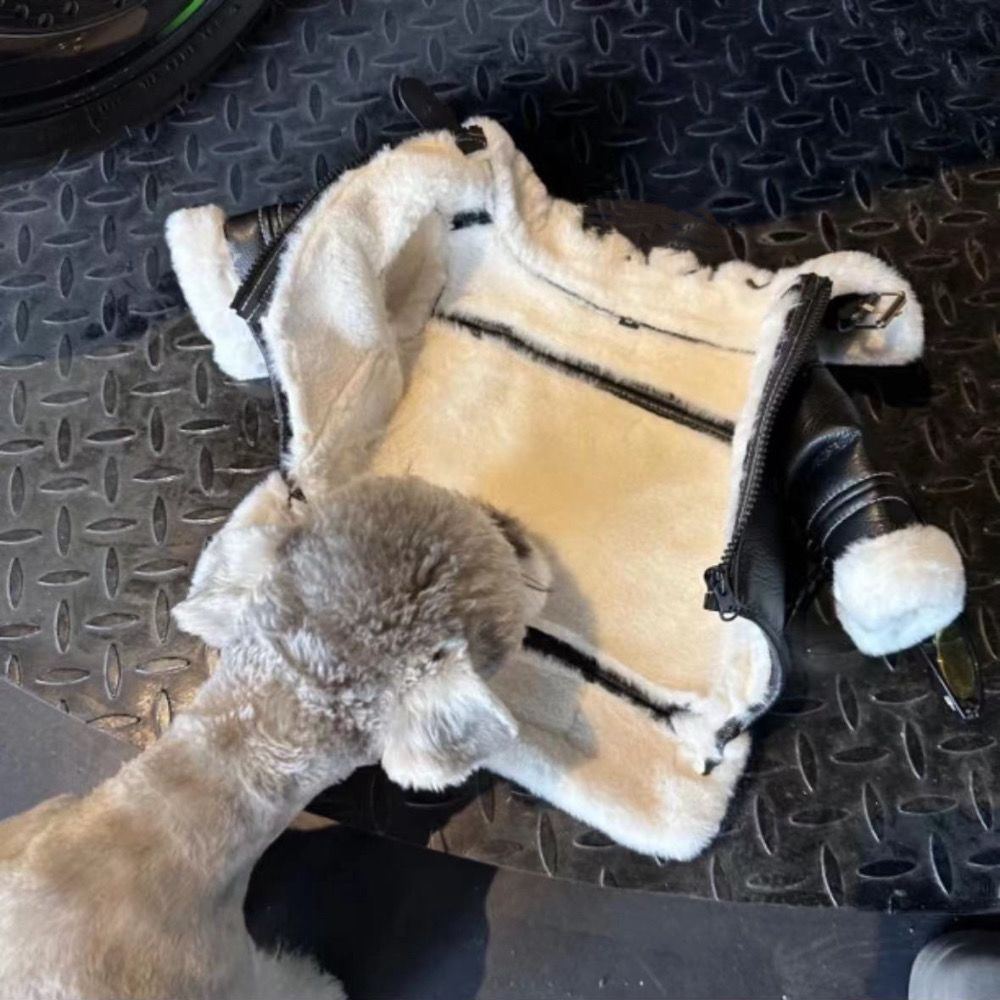 Warm Fleece Lined Dog Leather Jacket, Stylish Motorcycle Style Pet Coat, Windproof & Waterproof Dog Apparel, for Small Medium Dogs, Trendy Puppy Jacke