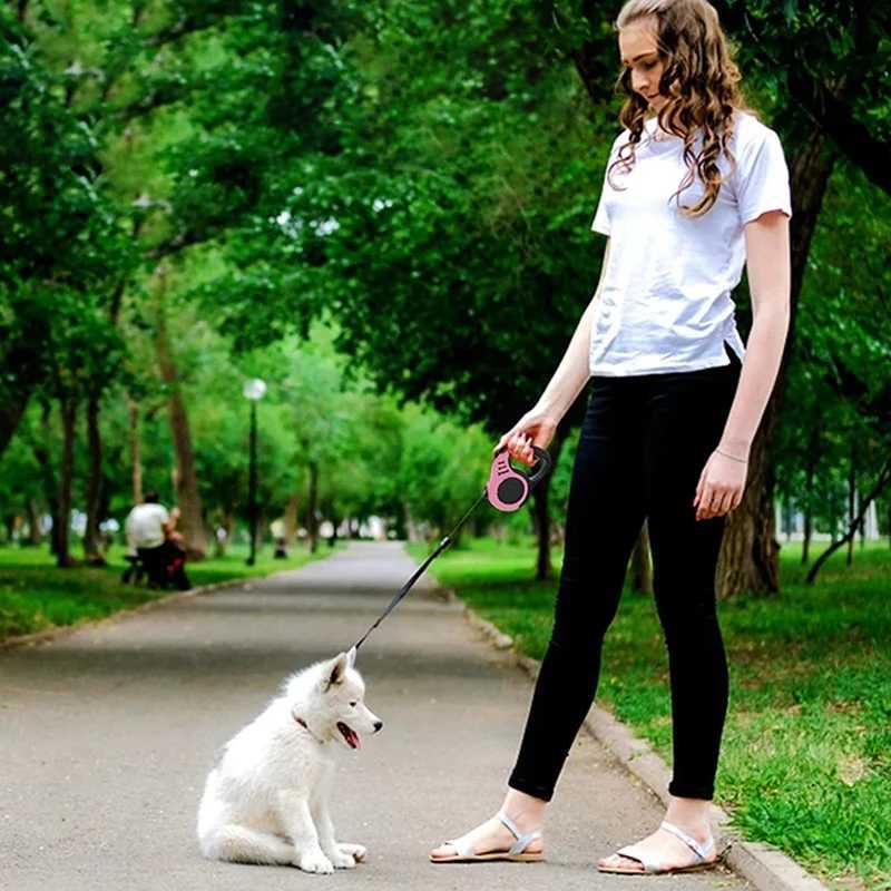 Pet dog leash dog automatic retractable leash automatic retractable leash dog walking rope dog chain dog outdoor supplies J251110