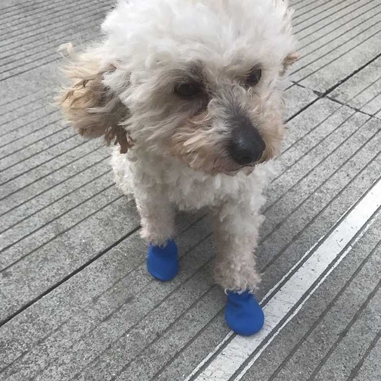New Arrival 4 pieces of pet dog rubber waterproof shoe covers pet socks foot covers anti slip outdoor dog rain shoes pet paw protectors Z250410