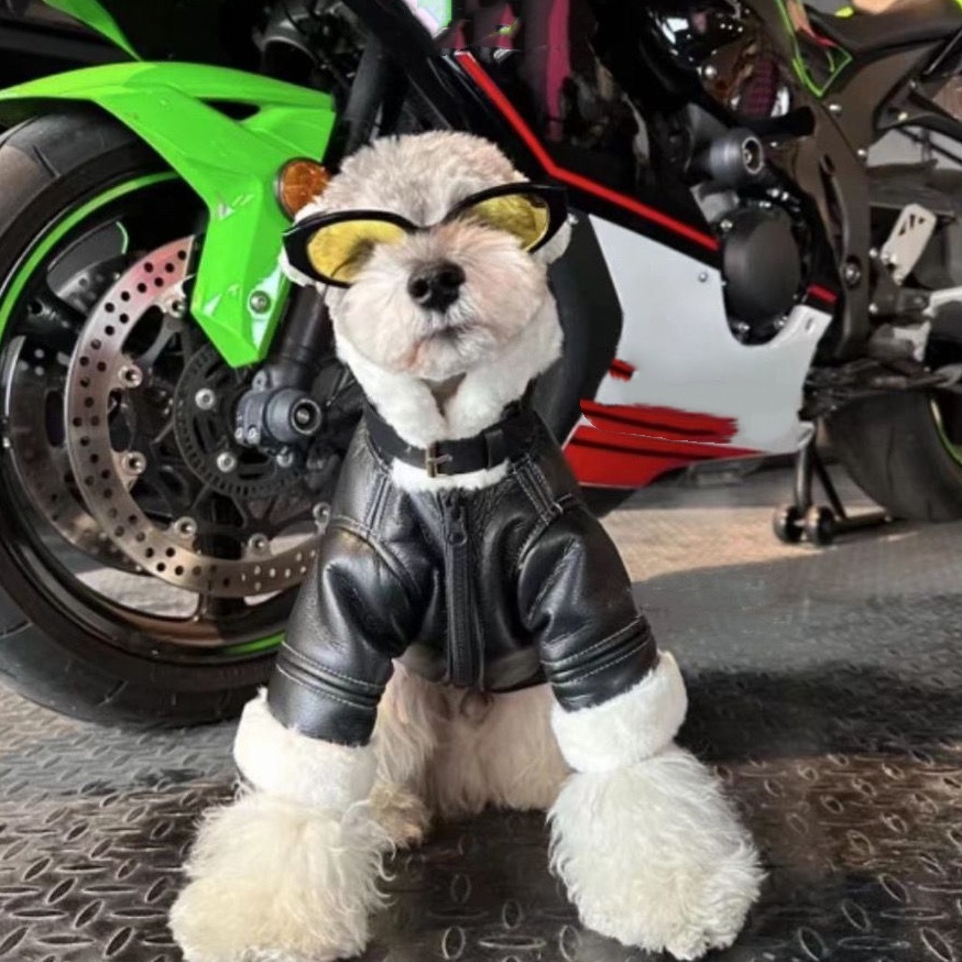 Warm Fleece Lined Dog Leather Jacket, Stylish Motorcycle Style Pet Coat, Windproof & Waterproof Dog Apparel, for Small Medium Dogs, Trendy Puppy Jacke