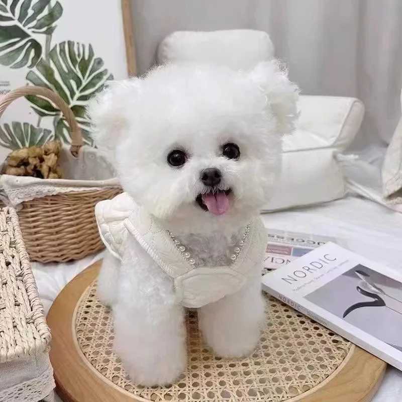 Pet Dog Dresses Winter Big Bow Thickened Dress with Velvet Bow Dress Teddy Bear Dog Cat Coat Puppy Clothes for Small Dogs J251110