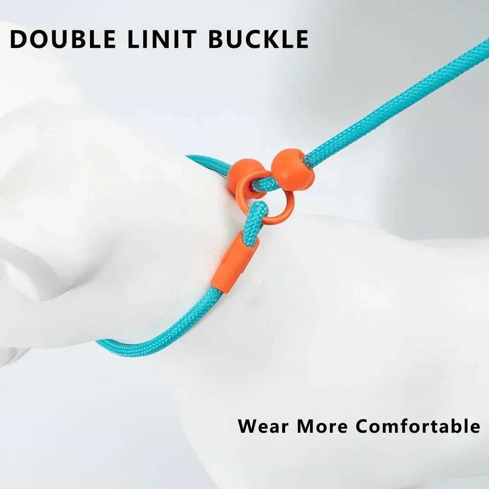 150cm Pet Dog Training Round Rope Light Weight Nylon P Chain Collar Adjustable for Small Medium Dogs Walking Leash Pet Supplies J251110