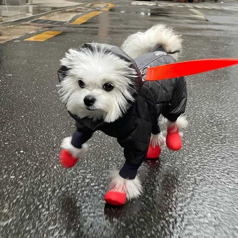 4 waterproof pet cat rain boots anti slip silicone pet dog rain boots outdoor rubber boots suitable for small medium and large dogs T2504010