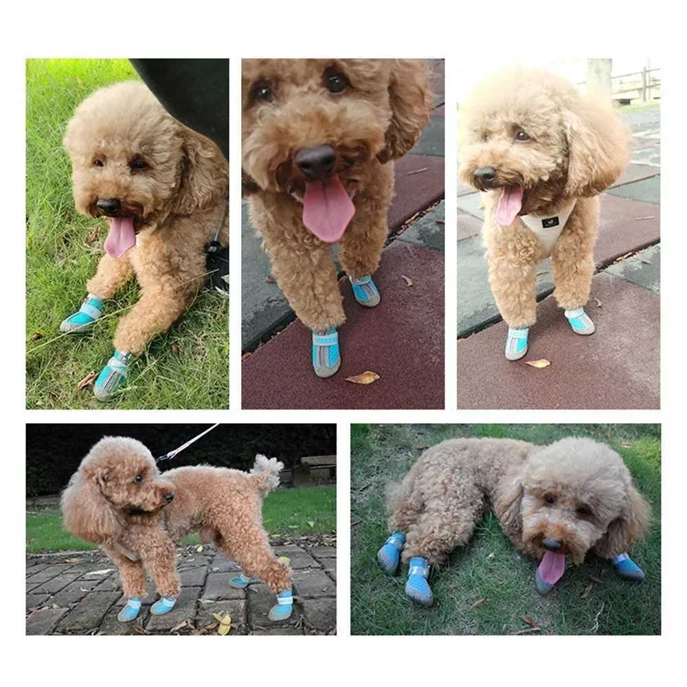 New Arrival Waterproof dog shoes are used for hot paving pet boots and paw protectors for small and medium-sized dogs and anti slip for hardwood floor