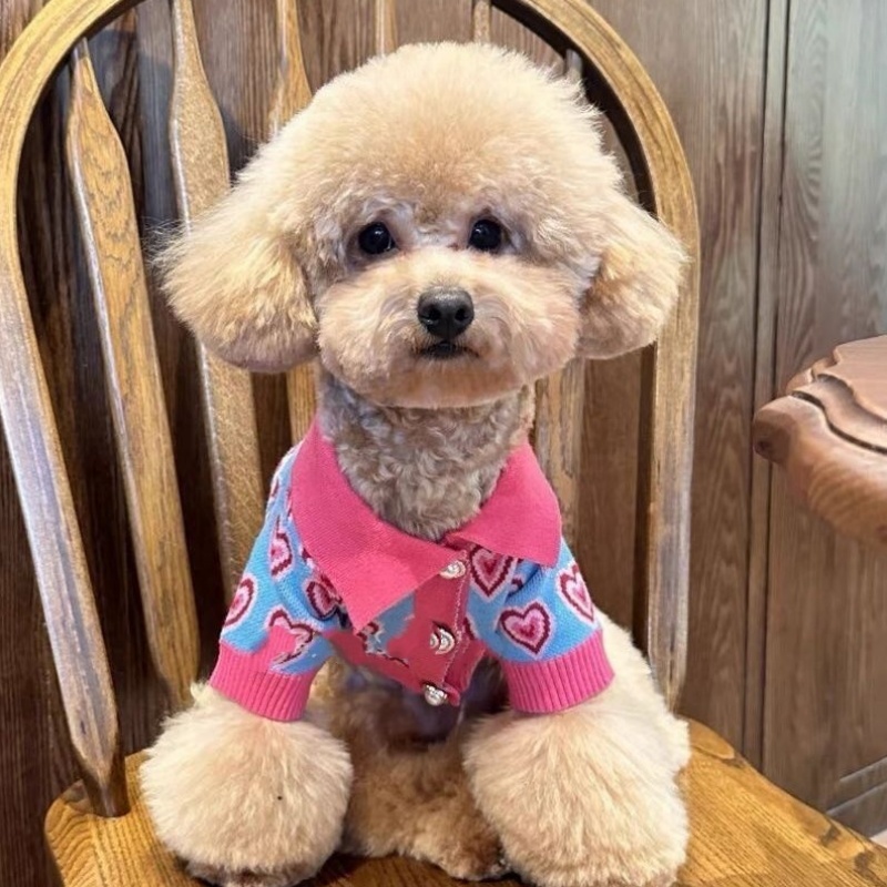 Cute Heart Pattern Dog Sweater, Knitted Pet Cardigan with Pearl Buttons & Lapel Collar, Warm Fashion Apparel for Small Medium Dogs, Soft Comfortable P