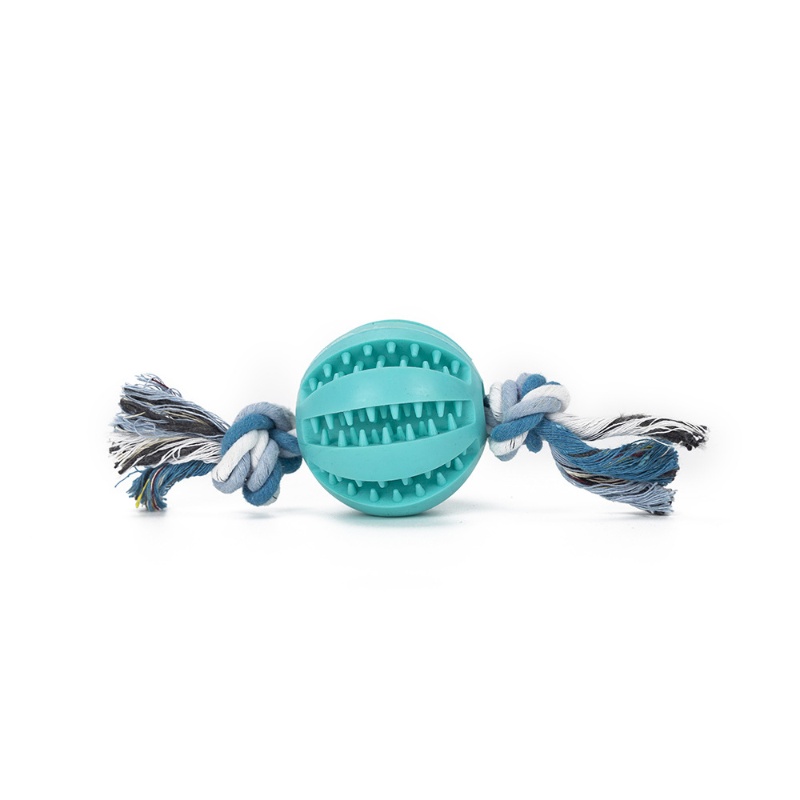 Pet dog food leakage TPR toy ball grinding teeth puzzle bite resistant training toy watermelon ball pet chewing toy