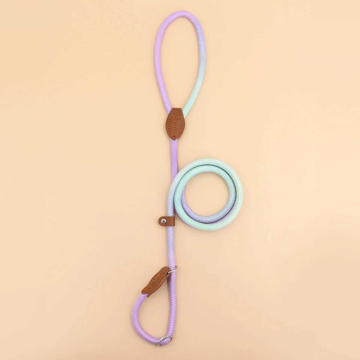 A colorful pet dog leash for indoor and outdoor use J251110