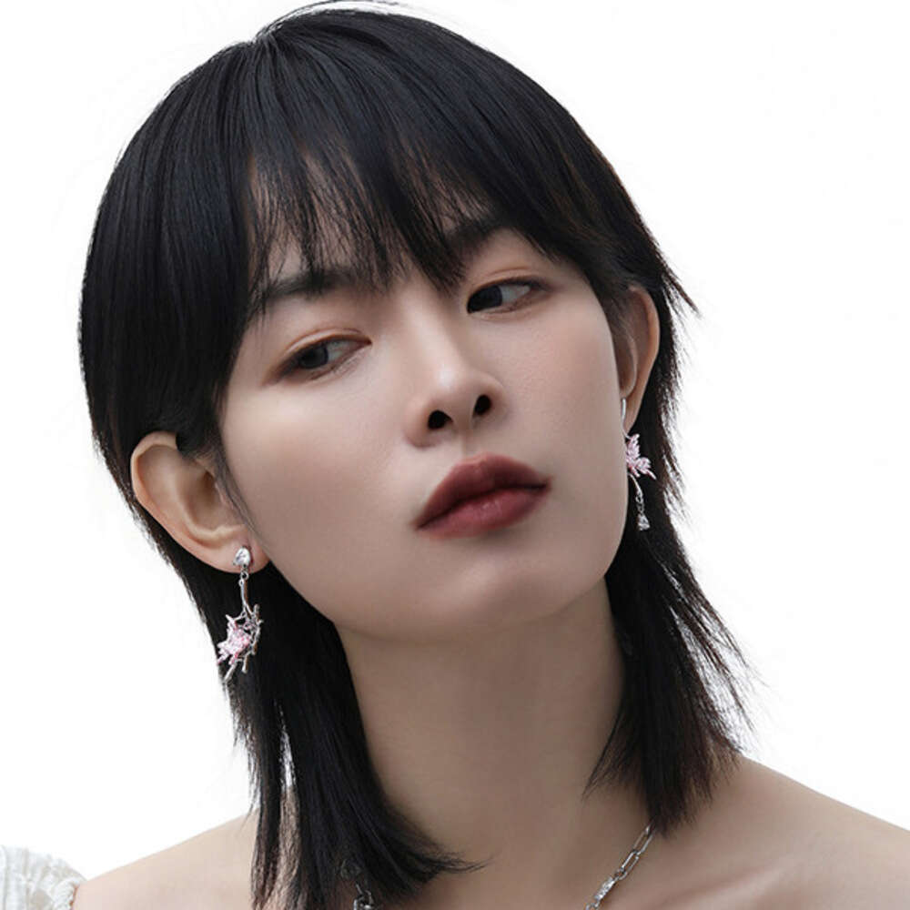 Asymmetric Spider Web Butterfly for Women Hip Hop Unique Personality Trendy Cool Niche Original Design High-end Earrings