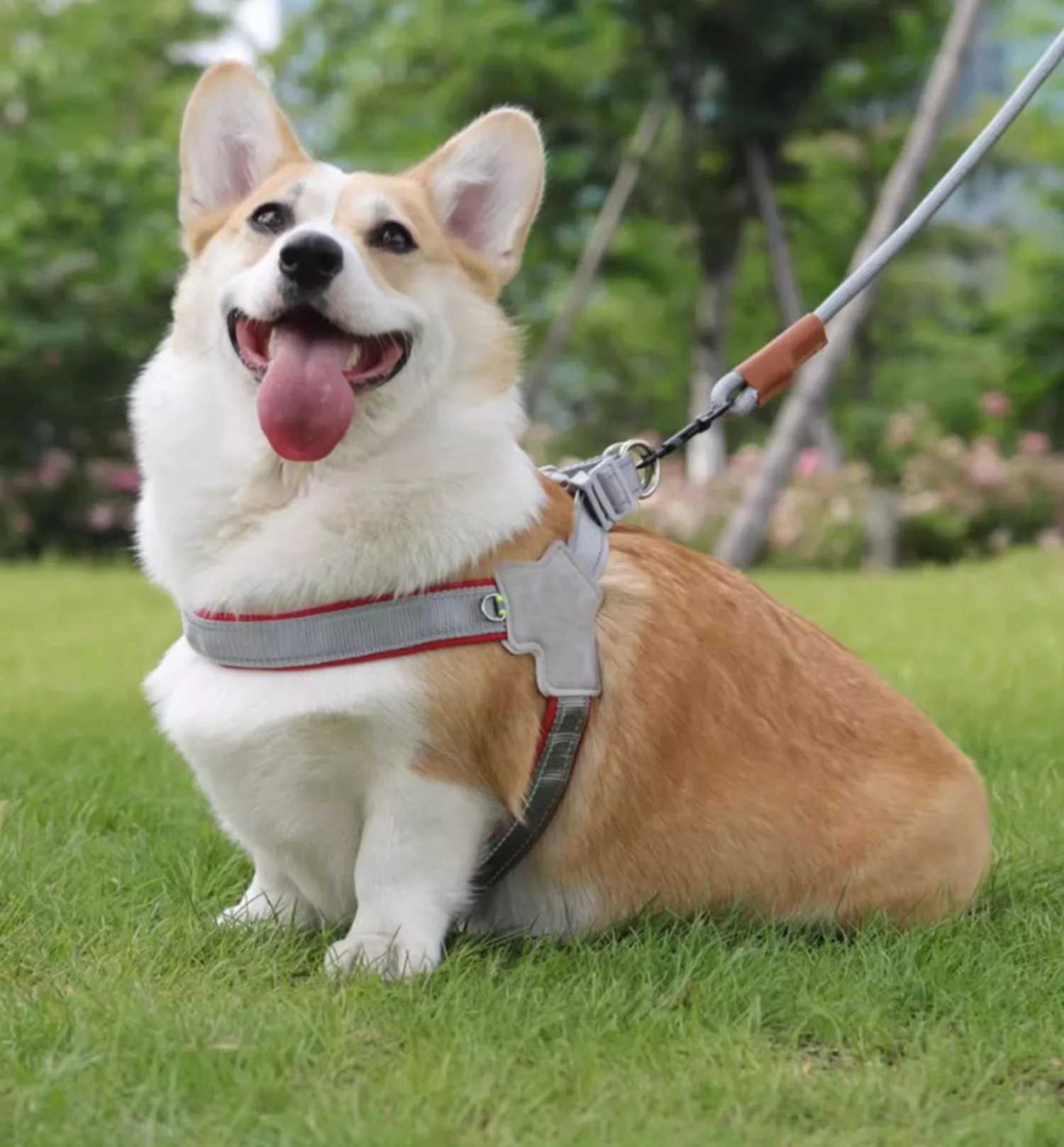 Pet dog leash vest-style pet chest harness dog walking rope small medium and large dogs outdoor dog walking traction supplies J251110