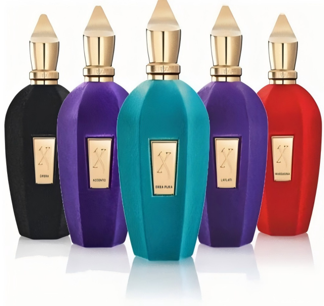 Xerjoff Perfume 100ml Perfume Fragrance for Women Men ERBA GOLD Muse More than Words Groove Xcape Long lasting Fragrance Colgone